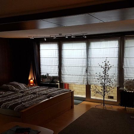 ווסלינג Koln-Bonn Appartment מראה חיצוני תמונה