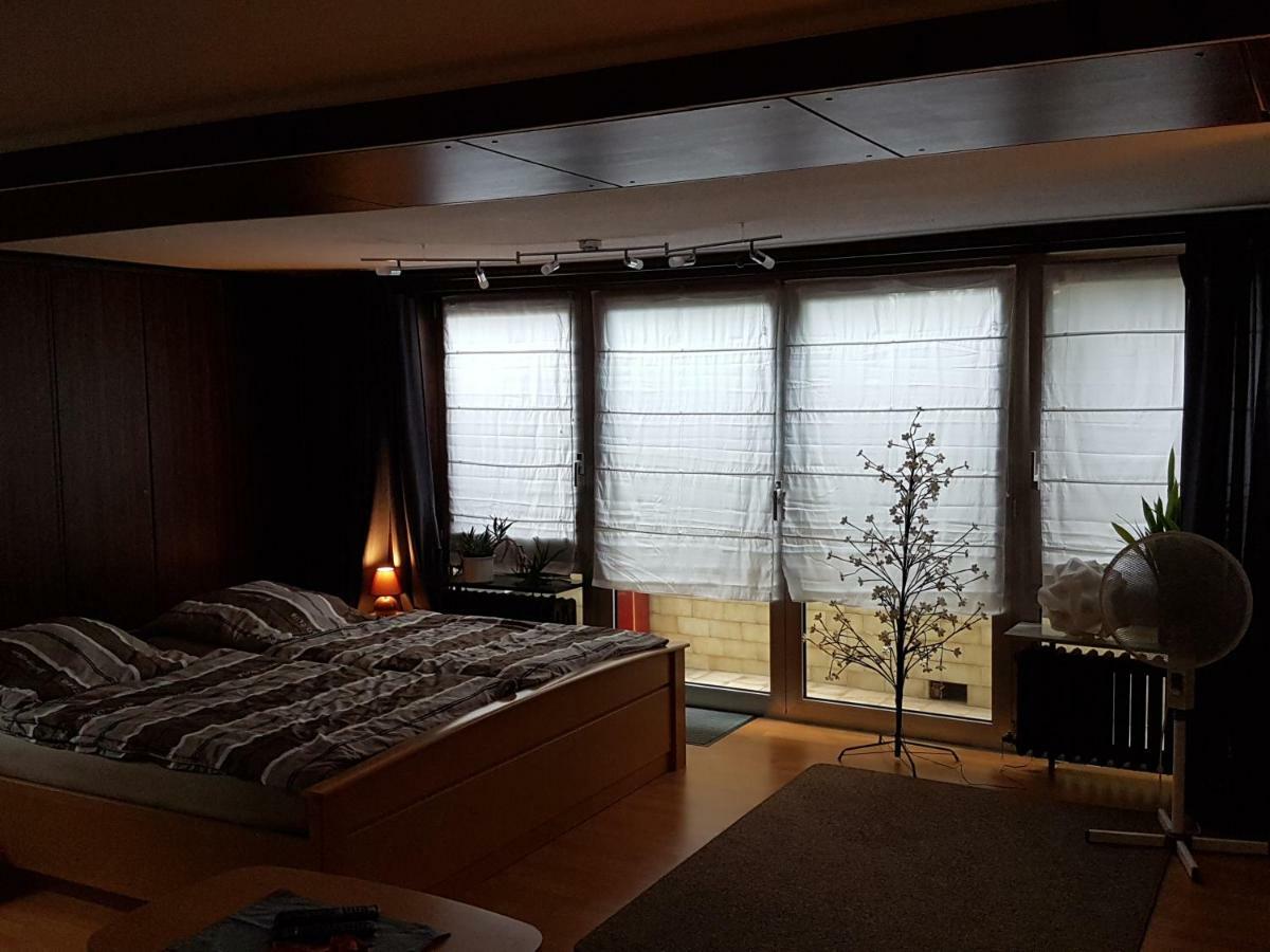 ווסלינג Koln-Bonn Appartment מראה חיצוני תמונה